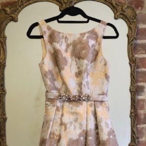 Eliza J Dress Size 2